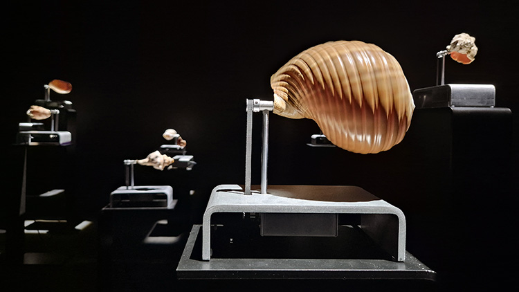 Mirror Into Auntieverse