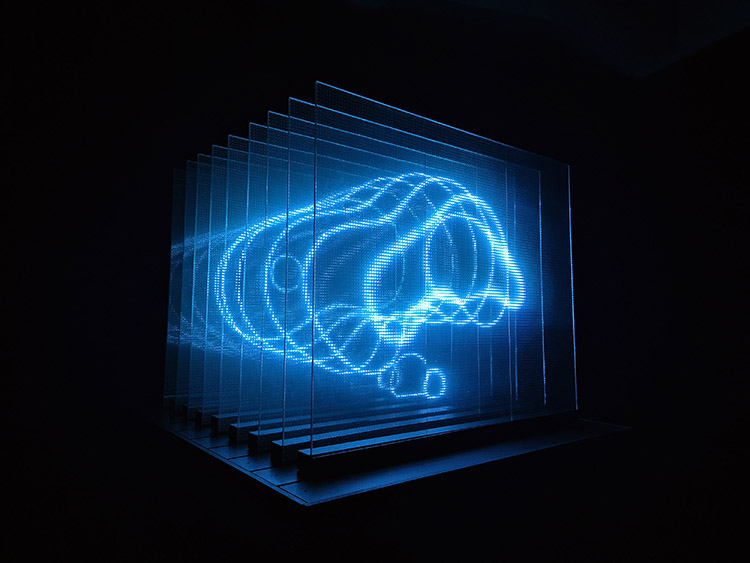 Circadian Bloom & Every Iris